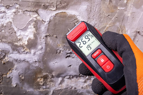 Best Attic Mold Remediation in Humansville, MO
