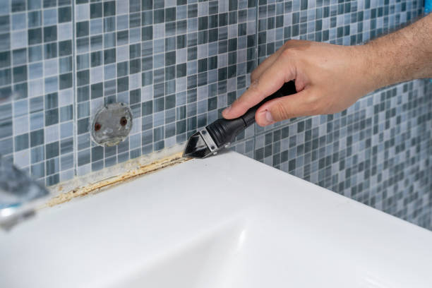 Best Black Mold Remediation in Humansville, MO