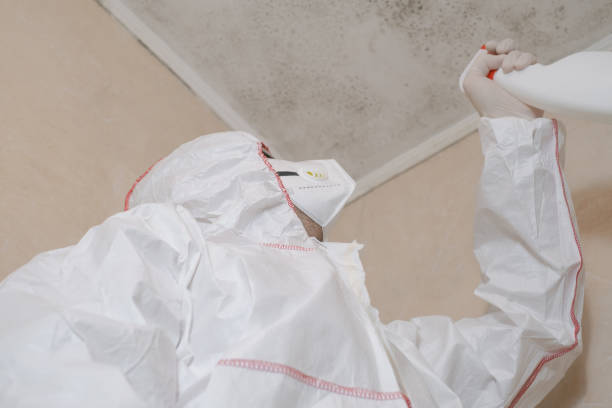 Trusted Humansville, MO Mold Remediation Experts